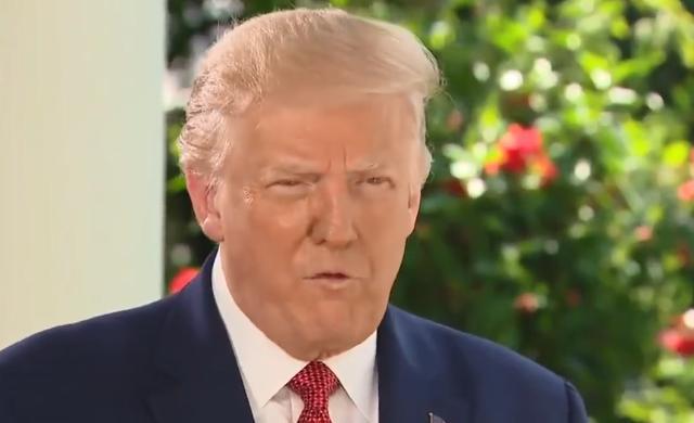 特朗普|检测结果延迟，特朗普：我们检测太多太好，检测减半确诊就减半