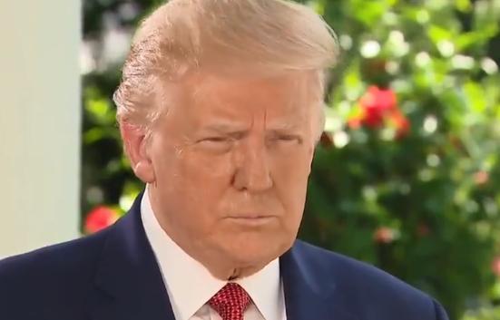 特朗普|检测结果延迟，特朗普：我们检测太多太好，检测减半确诊就减半