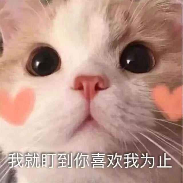 余生请多指教|《余生》即将上线，肖战携手三部作品回归，仍是娱乐圈顶流