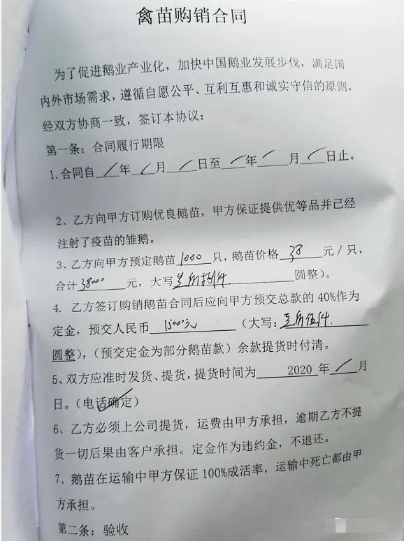 加盟養鵝