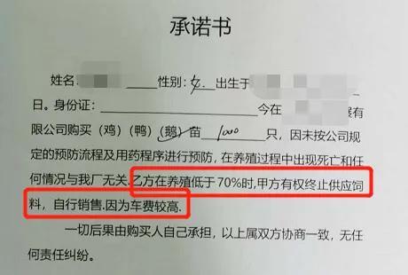 加盟養鵝