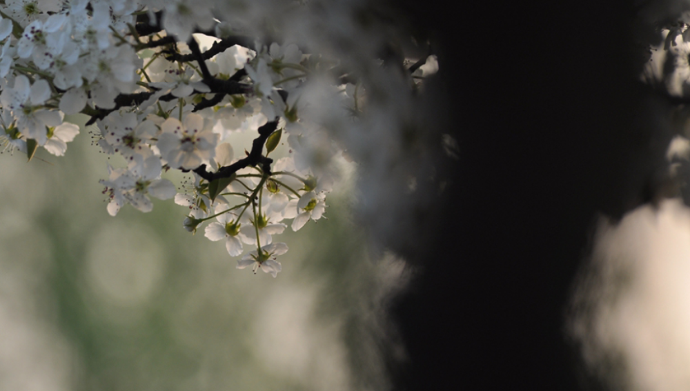 吕洞宾|历史上的吕洞宾写诗有多牛？用剑在雪地上写了首诗，流传1000多年