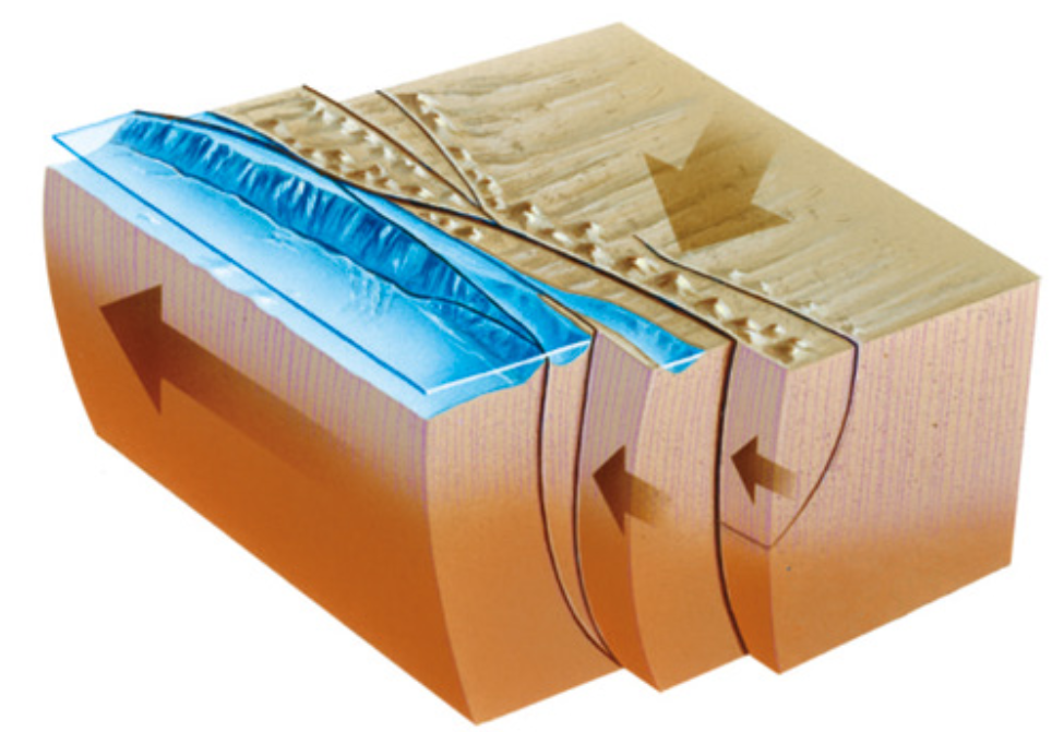 科学家|比模型高出100倍！科学家警告：美国发生大地震概率增至2.3％