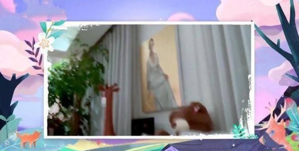 章子怡|章子怡过亿豪宅曝光：上下三层装修豪华，游泳池后花园应有尽有