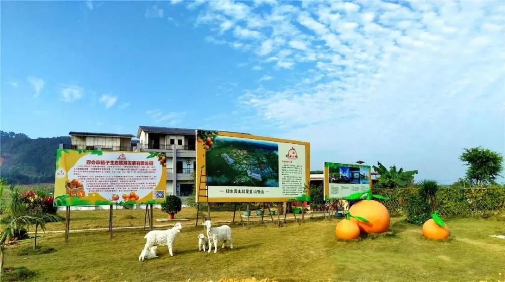 四会市大力推进乡村振兴让乡村更美农民更富产业更旺