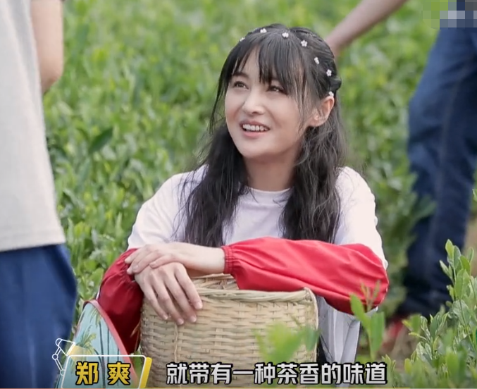 郑爽|郑爽不化妆就去摘茶叶，镜头近距离扫过她的脸，终于相信她28岁