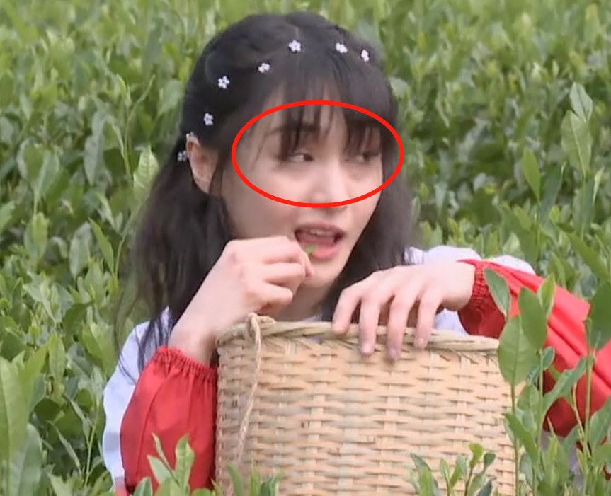 郑爽|郑爽不化妆就去摘茶叶，镜头近距离扫过她的脸，终于相信她28岁