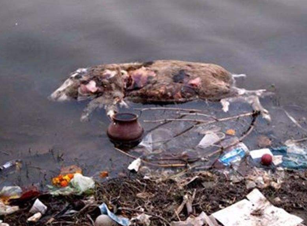 印度出售恒河水,5元一瓶当地人抢着买,却还想大量卖给中国!