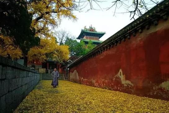 福建第一家寺庙养老院，满足两个条件，就提供全免费食宿