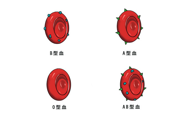蚊子|为什么有些人特别招蚊子？就因为血型是O型？看完涨知识了