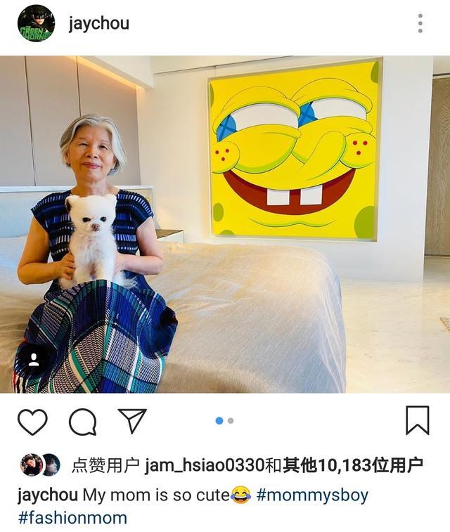 周杰伦|周杰伦晒妈妈近照，身着连衣裙抱宠物端坐气质佳，被儿子猛夸时尚