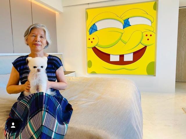 周杰伦|周杰伦晒妈妈近照，身着连衣裙抱宠物端坐气质佳，被儿子猛夸时尚