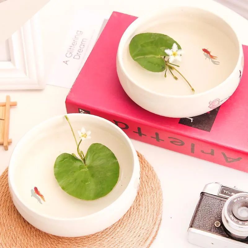 推荐5种 水生花 夏天浇水不发愁 直接扔水里就能活 好看又好养 腾讯新闻