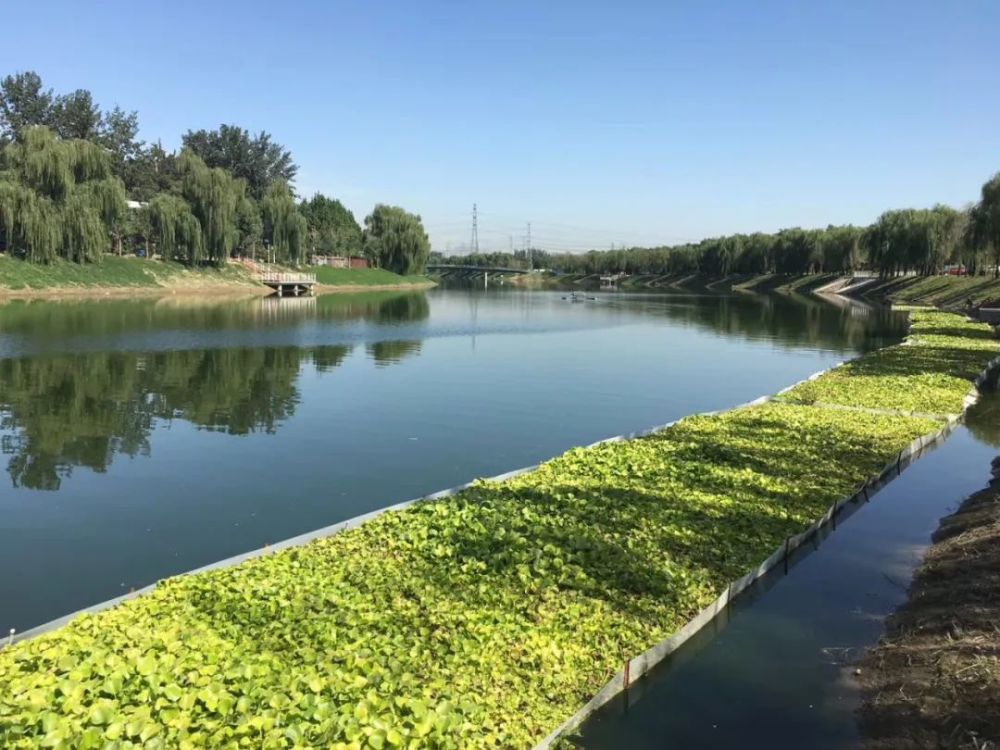 海淀区|海淀发布“水清岸绿”行动计划！5年新增千顷水面
