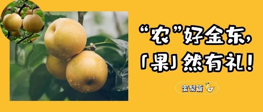 汪志杰|一年一岁磨手艺，一雕一琢出华章
