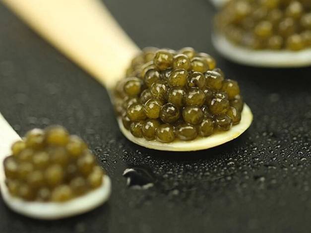 鲟鳇鱼卵如绿豆粒身般大小,统体墨绿,故有"