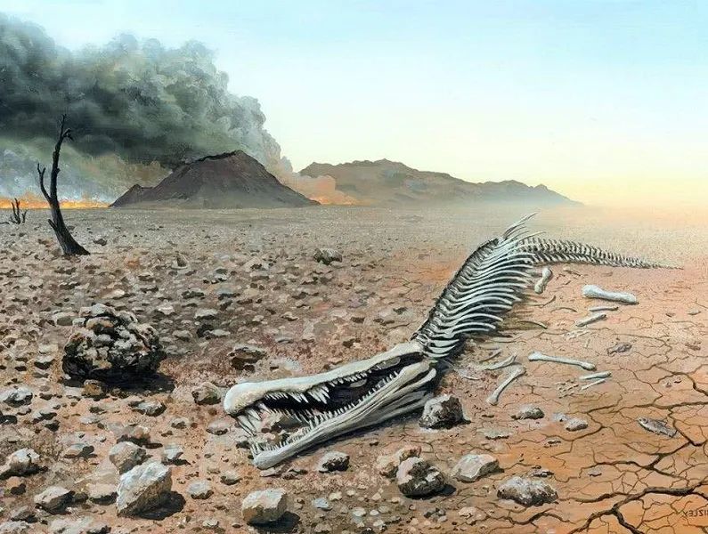 灭绝3万年生物重现不止一例为何消失已久物种能再次出现