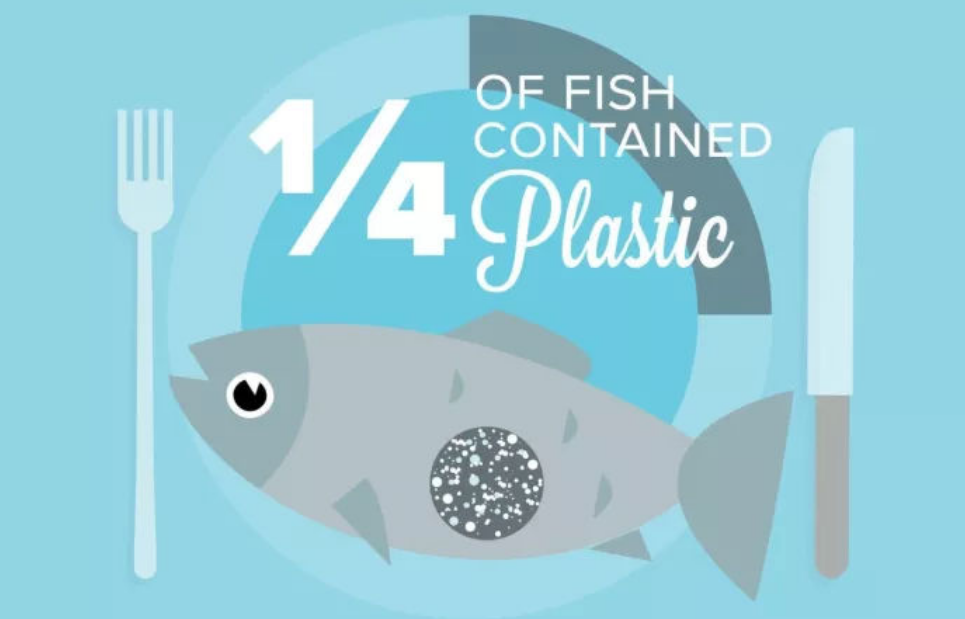 微塑料|那些随手扔掉的一次性“吸管”，总有一天换个身份爬上你的餐桌