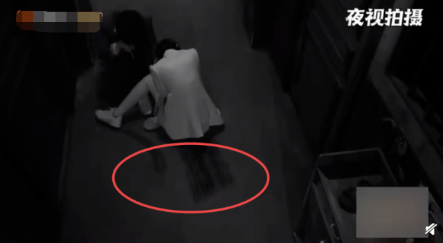 邓伦|邓伦新名字横空出世，却与杨幂关系不简单？大张伟的反应很真实