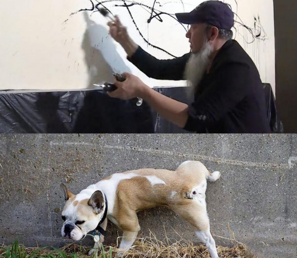 书法|农妇文盲苦练书法十五年，自创天书无人能懂，专家称那不是书法