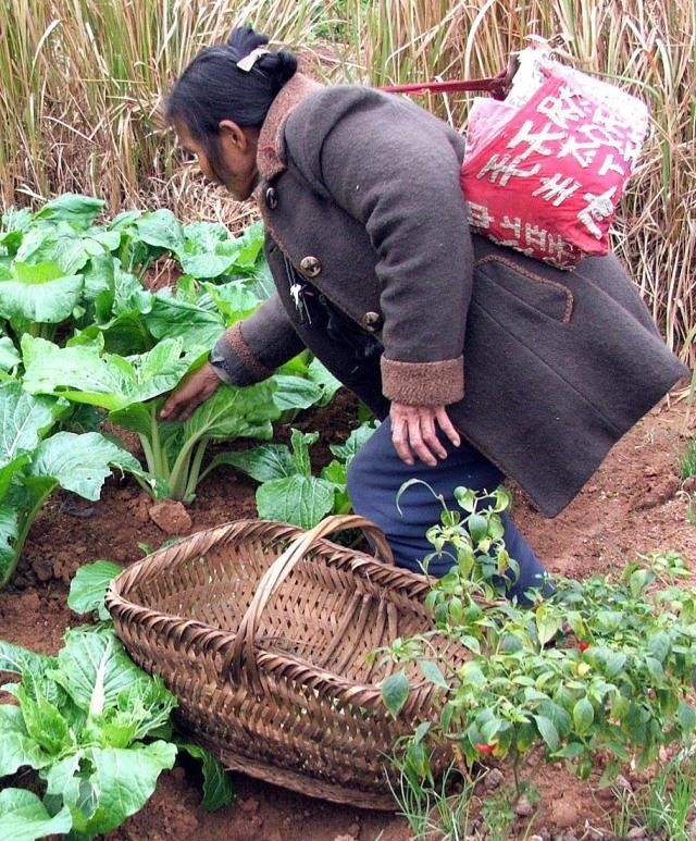 书法|农妇文盲苦练书法十五年，自创天书无人能懂，专家称那不是书法