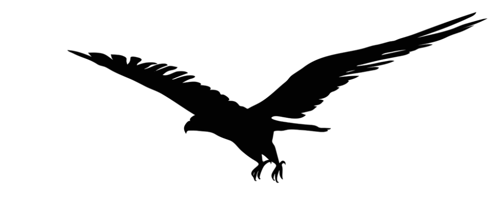 在你未曾注意到的城市上空,这些"杀手"正悄然掠过