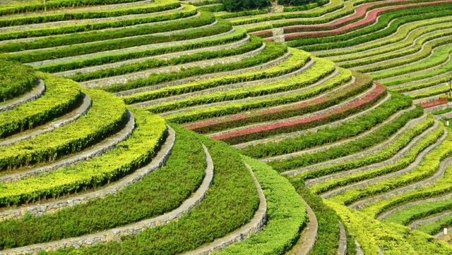 贵州古镇历史悠久,独树一帜的城中花海梯田,看起来像大地的指纹
