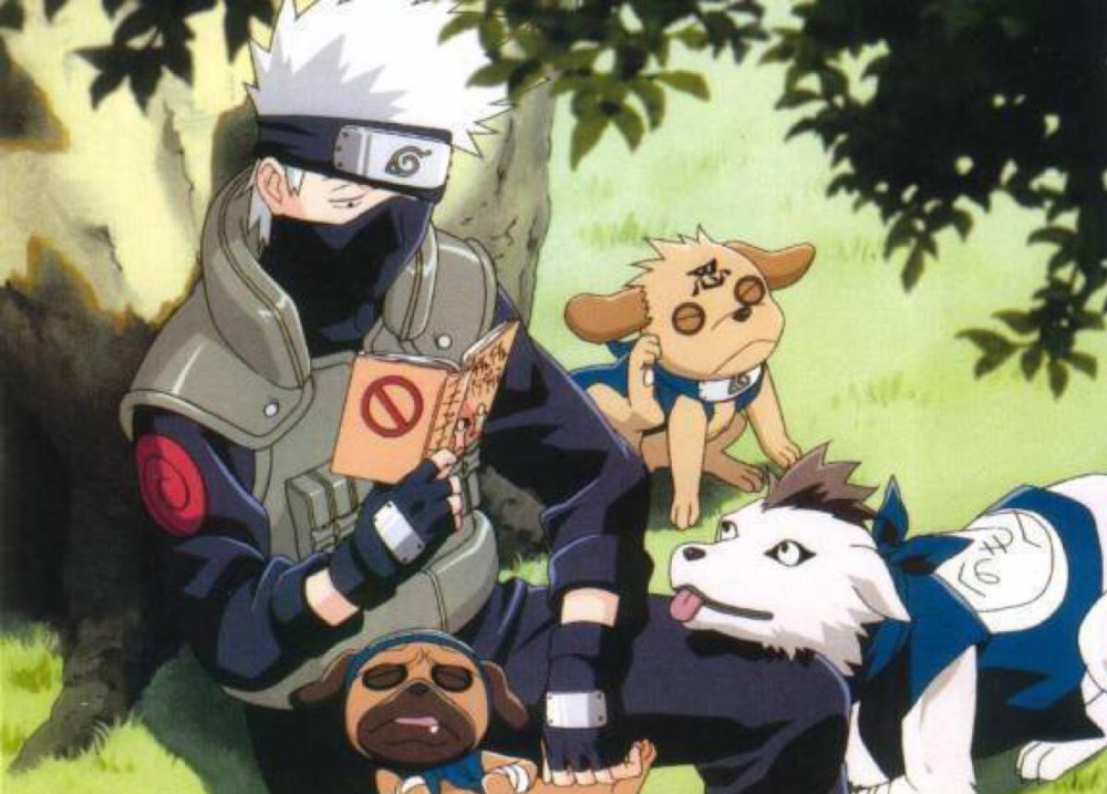 火影卡卡西与忍犬相处的方式小时候当坐骑长大后成家人