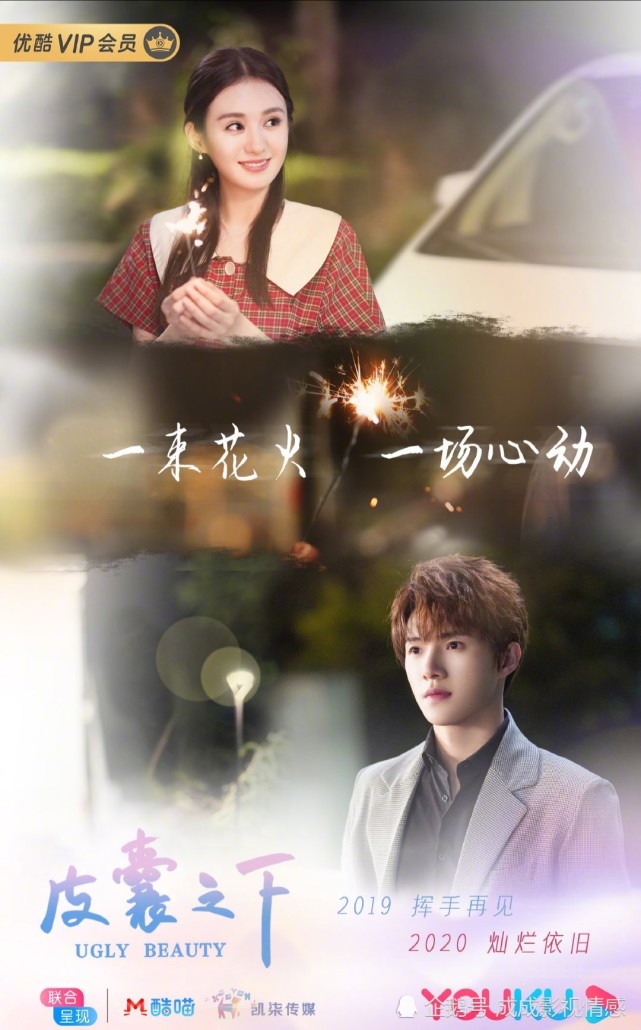 优酷皮囊之下这世界很酷已经拿到上线备案号期待定档