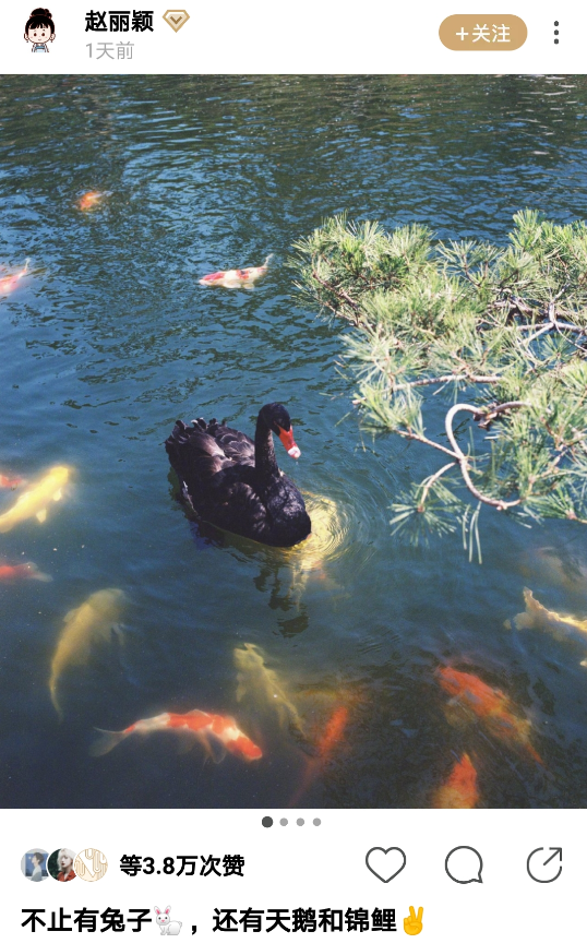 中餐厅|《中餐厅》赵丽颖发文有深意，文中锦鲤天鹅，路人喊话杨超越张艺凡