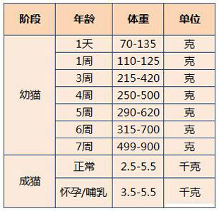 奇怪我家兩隻一樣體重和年齡的貓一個胖一個瘦