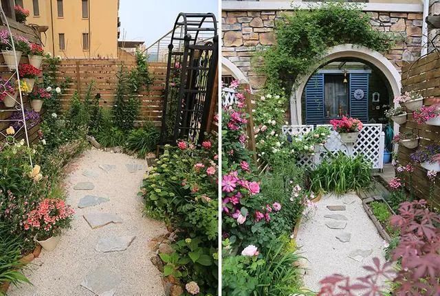 他花了6万将毛坯院子打造成花园50㎡的院子种植了60多种植物