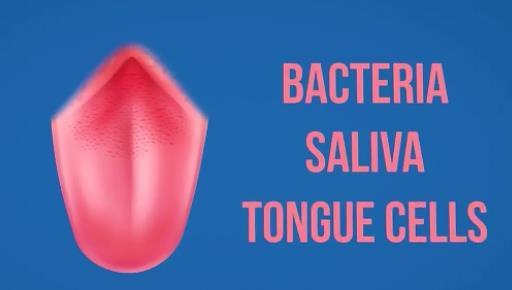 蠕虫|我们最古老的祖先有可能是这种你没见过的蠕虫小动物