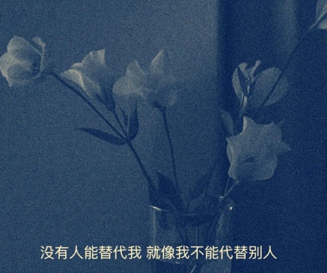 治愈系温柔文案让人一见倾心