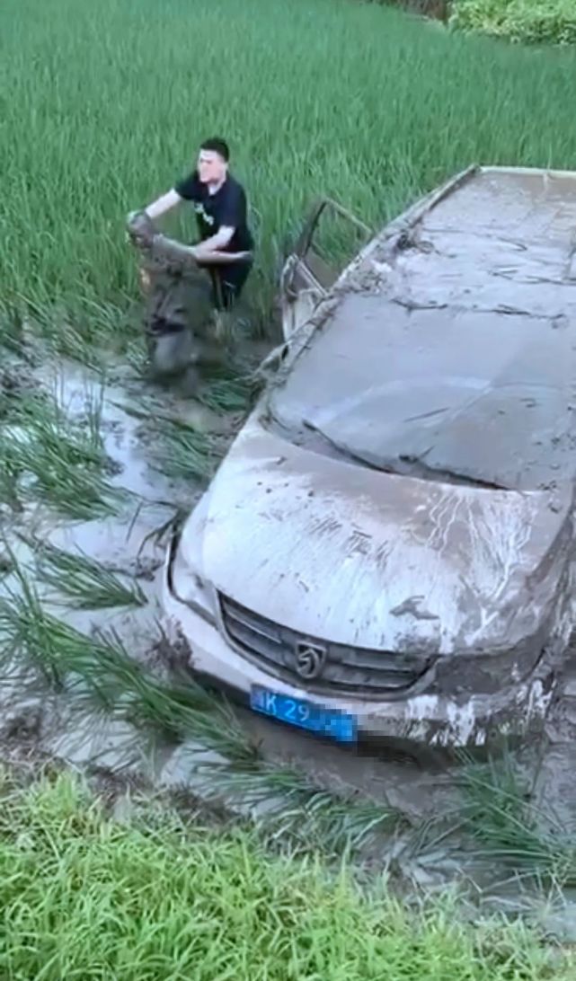 一茂名牌小车翻滚落稻田车内3人变身泥牛网友笑肚痛