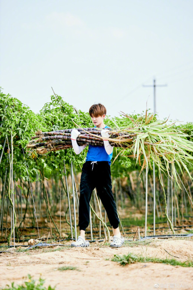 任嘉伦|6月明星商业价值榜，任嘉伦夺冠，创个人历史最好成绩