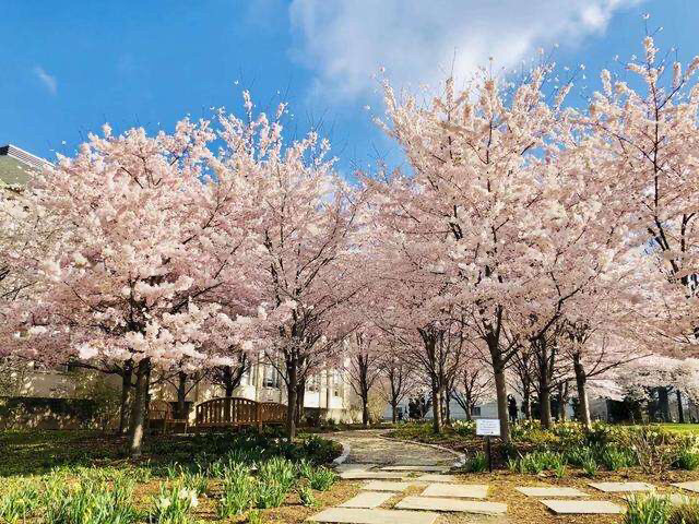 河北省高考位次排名_河北定州排名排名园项目被指违规建设民宅遭偷拆(2)