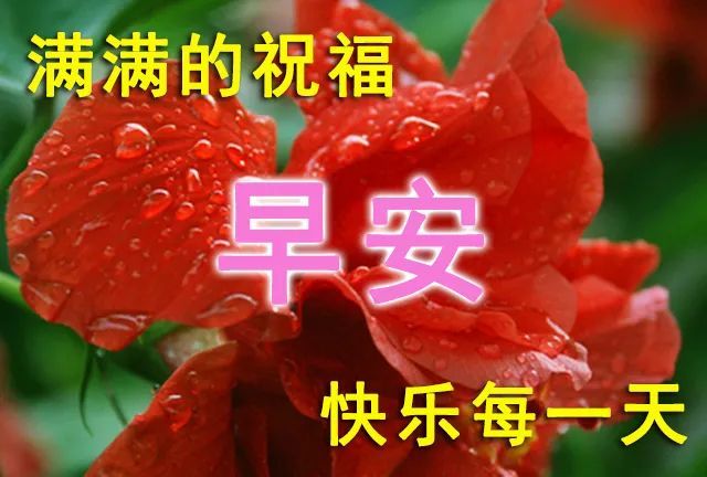 7月16日早上好美麗的早晨滿滿的牽掛願我們都健康快樂願我們都笑口常