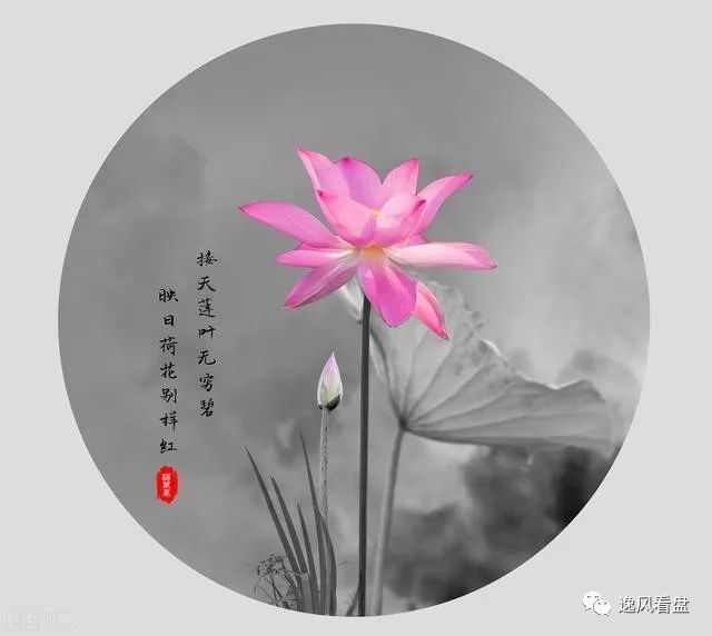 俗语|四十九句俗话，说尽为人处世之道