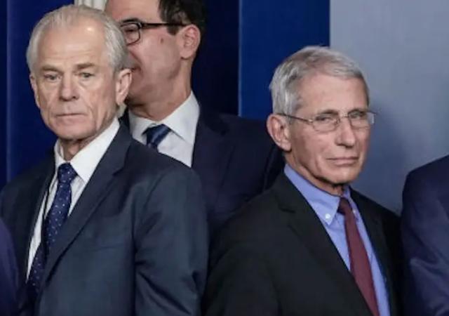 彼得·纳瓦罗|因为福奇，特朗普罕见斥责手下死忠纳瓦罗：他的言论不代表我