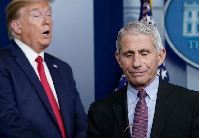 彼得·纳瓦罗|因为福奇，特朗普罕见斥责手下死忠纳瓦罗：他的言论不代表我