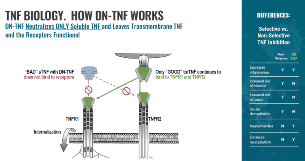 胶质母细胞瘤|脑科学日报：胶质母细胞瘤新靶标被发现；限时饮食可以减肥！