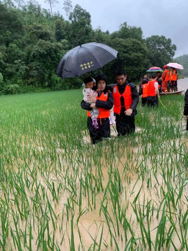 红色预警信号|448次叫应！61万条预警！战4轮洪水…意味着什么？