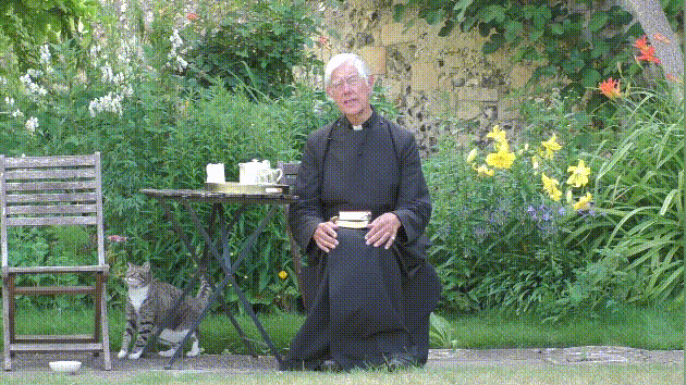 偷喝茶,所有观众都被它夺走视线|老猫|罗伯特|老虎|猫咪|喵星人|布道