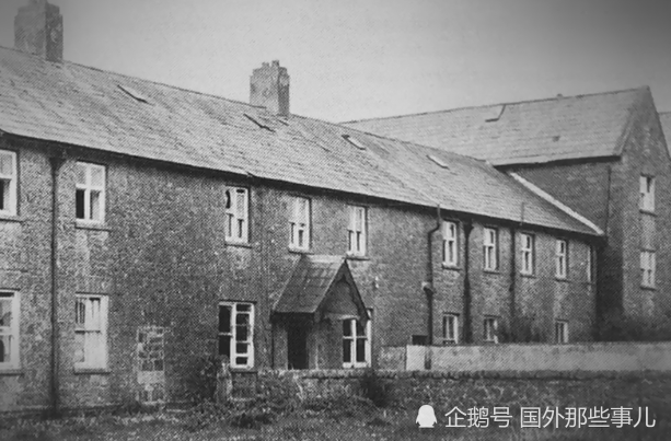 化粪池|废弃房屋化粪池里发现800具婴儿尸骨，许多婴儿死于营养不良