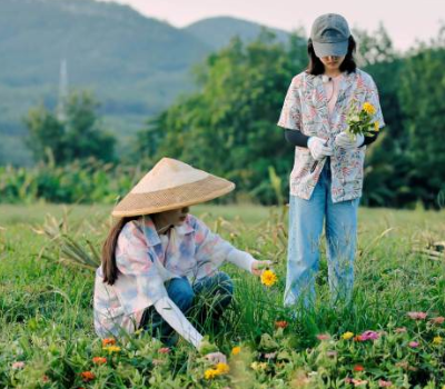 张子枫欧阳娜娜友情-WordPress极简博客