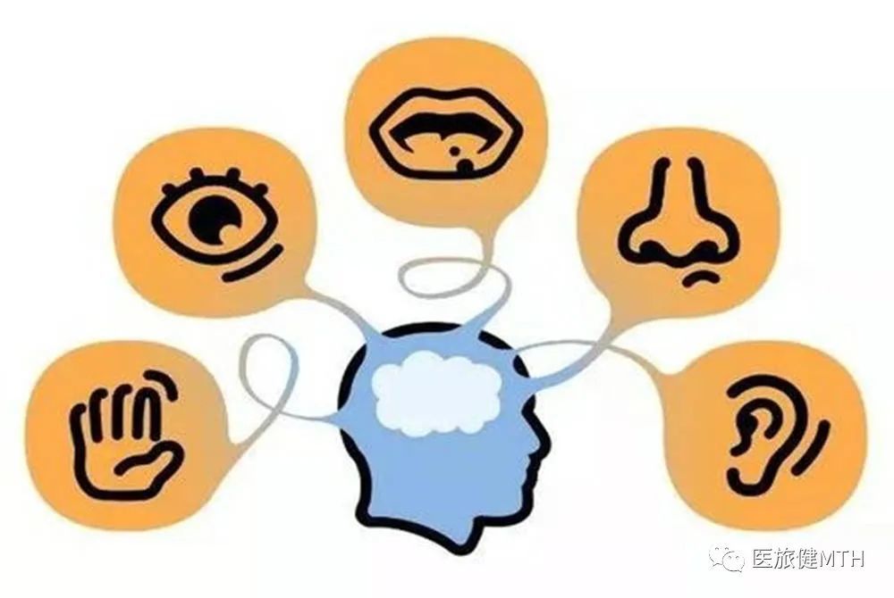 帕梅拉·道尔顿|我们为什么闻不到自己家的味道？