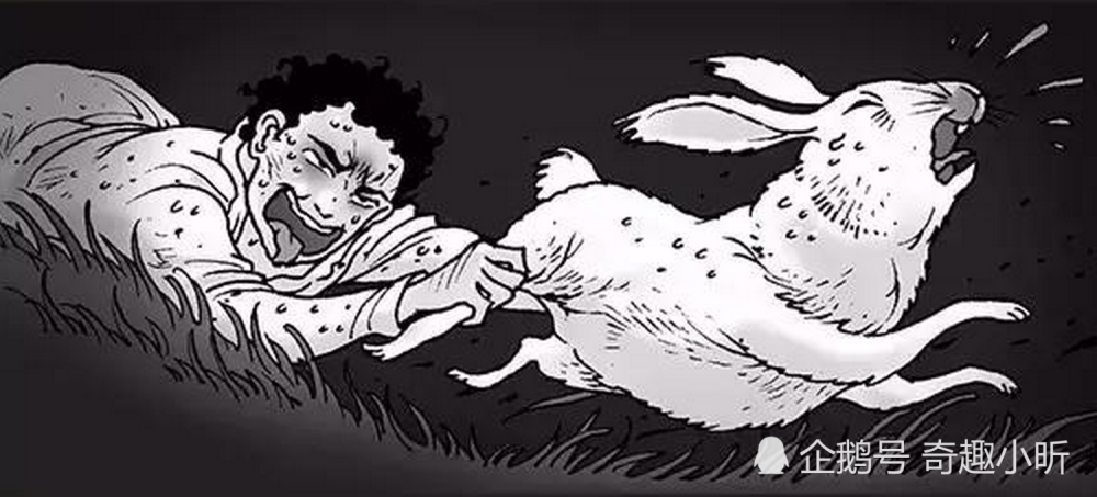 兔子叔叔杀毒兔漫画图片
