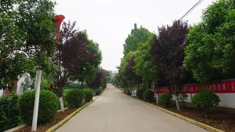 登封市东华镇少阳寨多措并举优化人居环境打造美丽宜居乡村