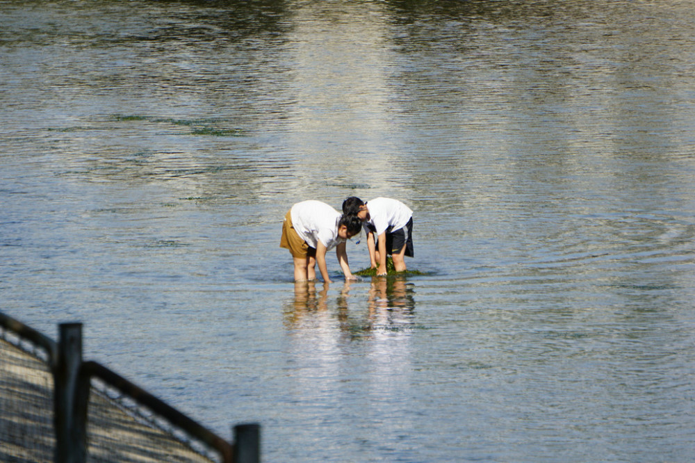 引水渠|危险！引水渠里游泳，公园湖上撞船，家长放任孩子玩水